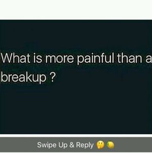 Meet your Posher, Joey